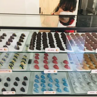So many chocolates to choose from!