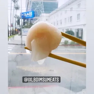Har Gow (4)