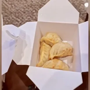 Pan Fried Chicken Dumplings (4)