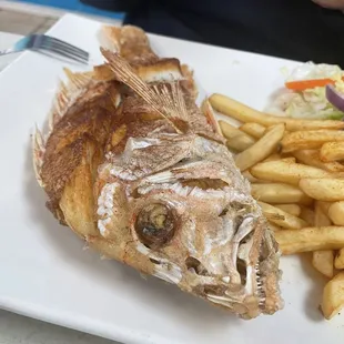 The fried fish looked like a piranha