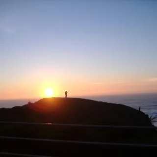 B. C.