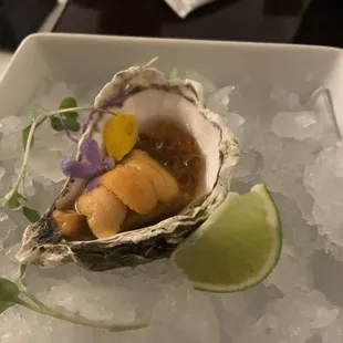 Oysters