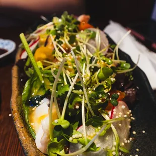 Octopus Salad