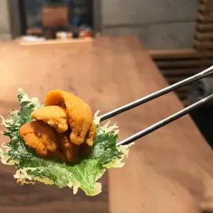 Shiso crispy uni