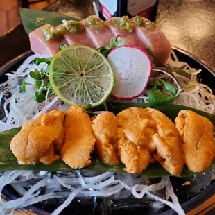 Blue Fin Chu-Toro Hokkaido Uni Sashimi