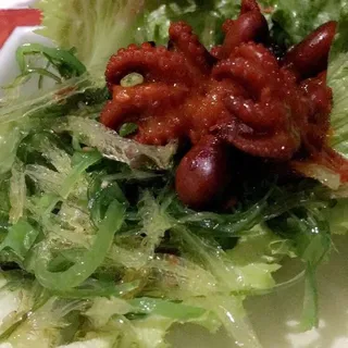 Octopus