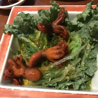 Mini Octopus