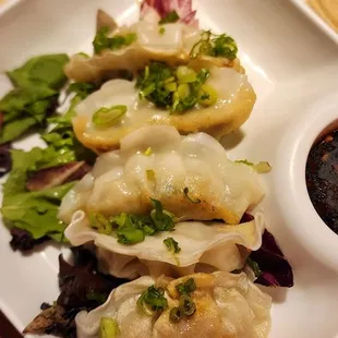 Gyoza