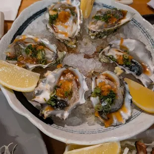 Fresh oysters