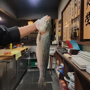 a person holding a fish