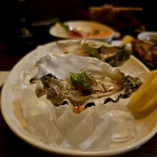 Fresh oysters