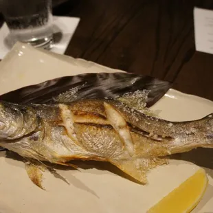 Grilled Moi