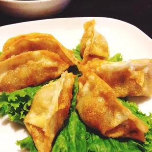 Gyoza