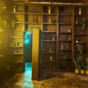 Entrance behind bookshelf