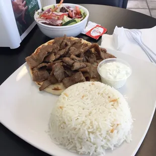 Gyro Plate