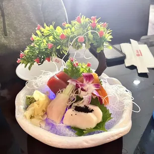 Sushi Appetizer