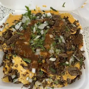 Carne Asada Nachos Con Todo!