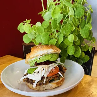 a burger and a potted plant