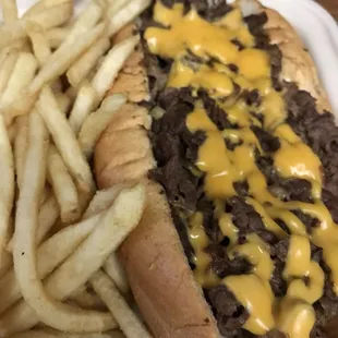 Triple Threat Cheesesteak w/ fries.