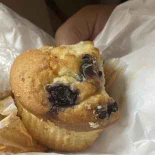 moldy blueberry muffin.