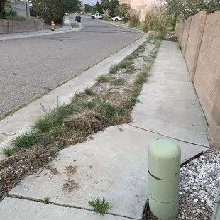 Before sidewalk side