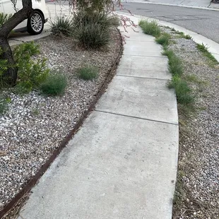 The before of the front side, these are stubborn weeds, we're tough for me to pull with my sciatica.