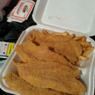 Large catfish filet (4 pieces includes fries).