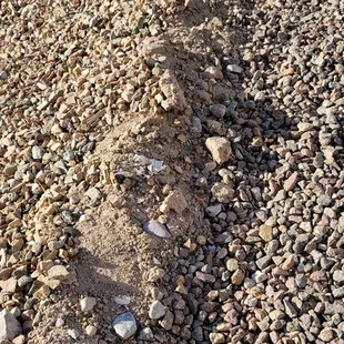 The fact that they could not properly use a rake to grade the existing dirt was astounding.