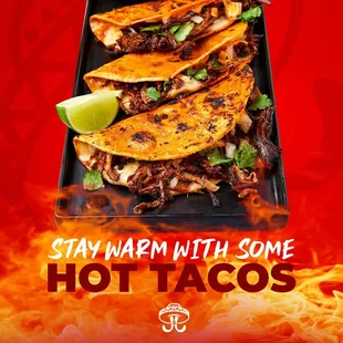 a plate of quesadillas