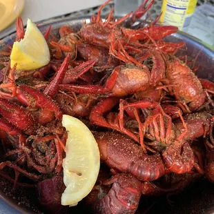 Crawfish