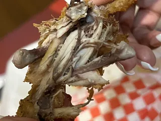 OOOWWWEEE Wangz N Catfish