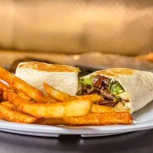a plate of french fries and a burrito
