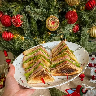 a person holding a plate of sandwiches
