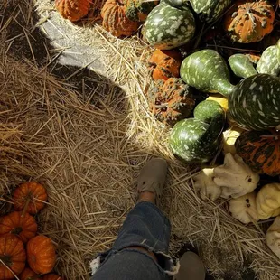 J & J Ramos Farms