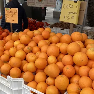Citrus  at the Clement Street Farmers Market San Francisco