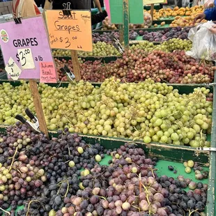 Grapes at the Clement Street Farmers Market