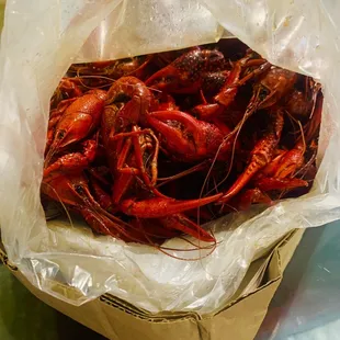 Crawfish