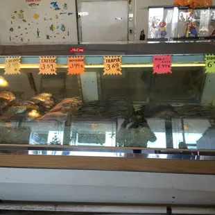 a display of seafood