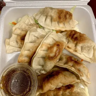 8 Piece Pan Fried Pot Stickers