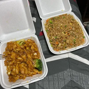 honey chicken and egg fried rice
