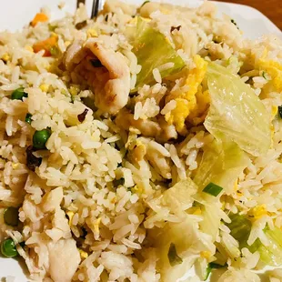 Chicken and Salted fish Fried Rice