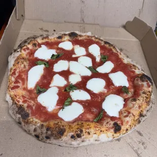 Margherita