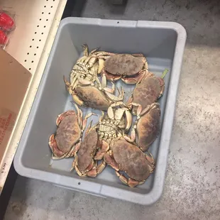 Box of random crabs on the floor (I was more perplexed than anything- not even sure if it was for sale)