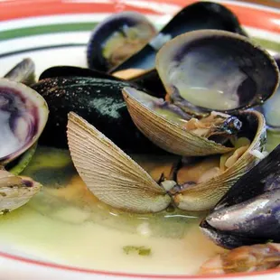 a plate of clams