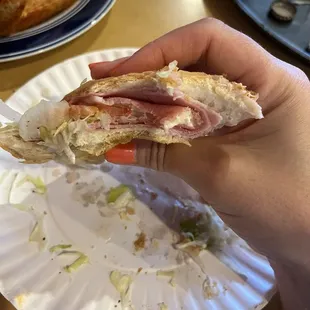 Toasted Italian hoagie. Where is the meat??? What the hell kind of hoagie is this?