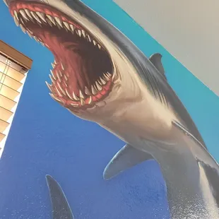 A shark in the briny deep