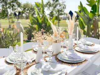 M & N Party Rentals