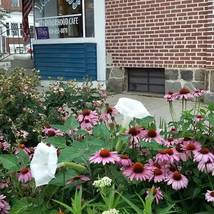 flowers in front of building