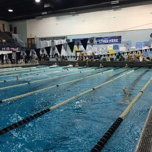 ODU v WM