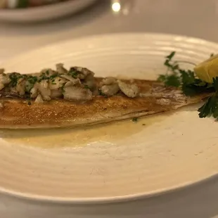 Dover Sole